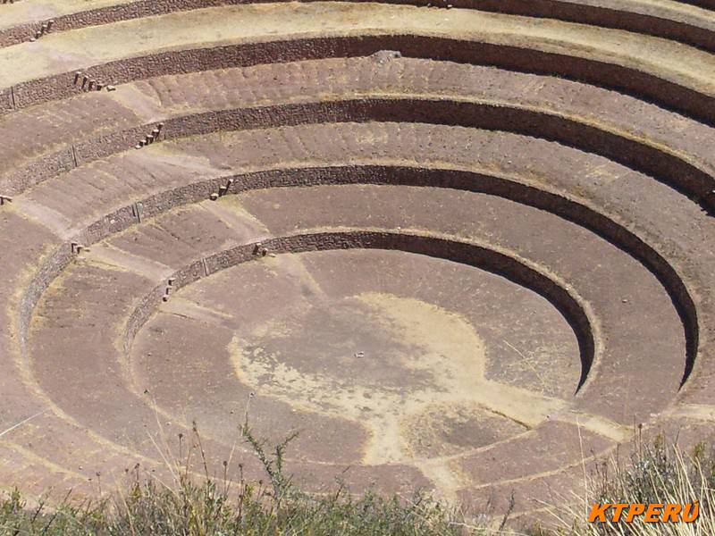 moray 3